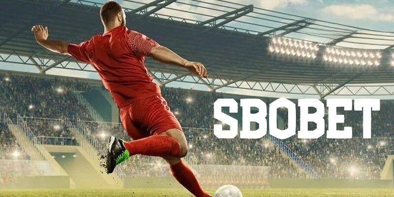bong8899 đăng nhập mậu binh uy tín