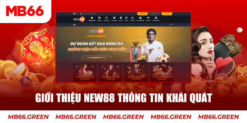 bong8899 c1 gà chọi