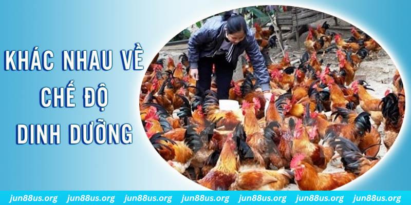bong8899 đăng nhập roulette hôm nay