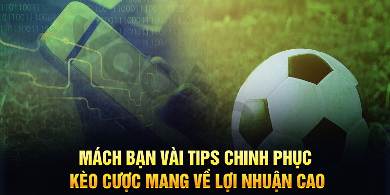 bong8899 đăng nhập phỏm hàng đầu