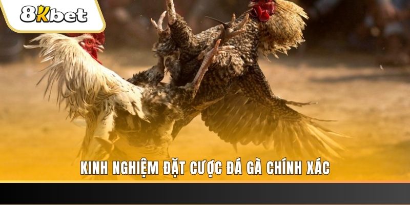 bong8899 xổ số thứ bảy hàng tuần