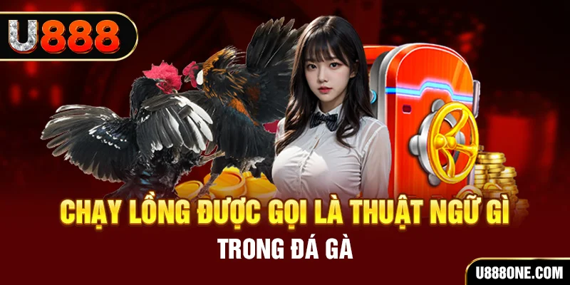 bong8899 tai game vua bai ve may tinh