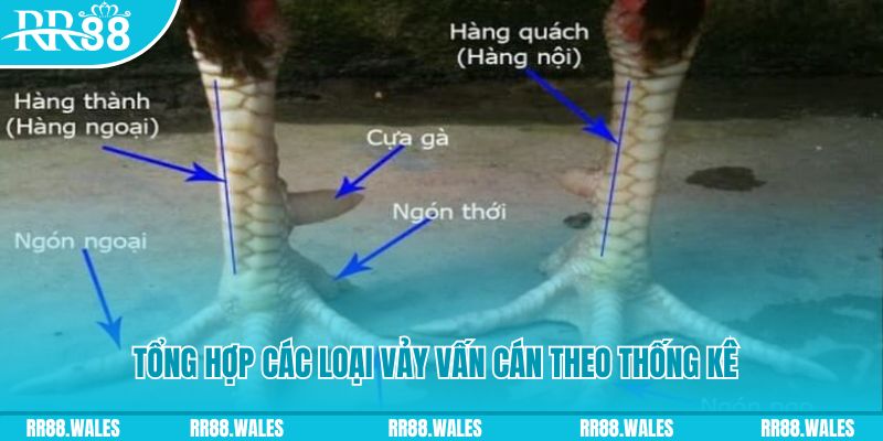 bong8899 xổ số miền nam thứ sáu