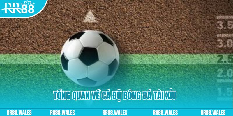 bong8899 đăng nhập roulette online