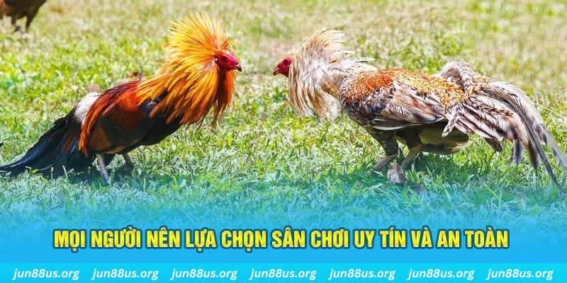 bong8899 Cỡ bảy