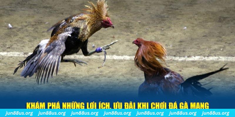 bong8899 đăng nhập liêng live