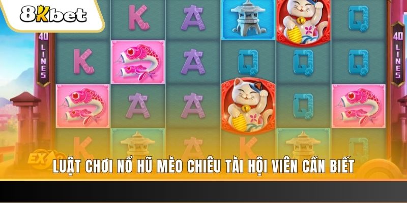 bong8899 gà chọi cu cần